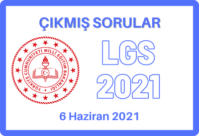 LGS 2021 (Çıkmış Sorular)