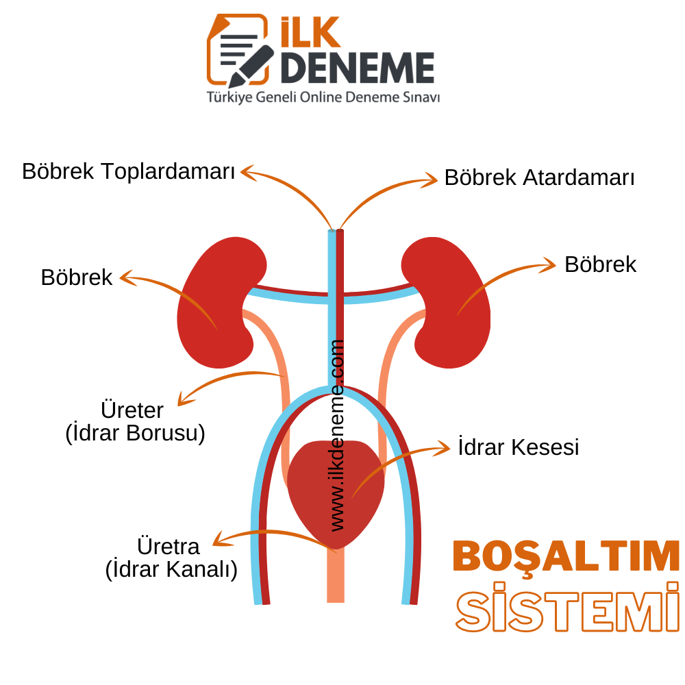 bosaltim sistemi