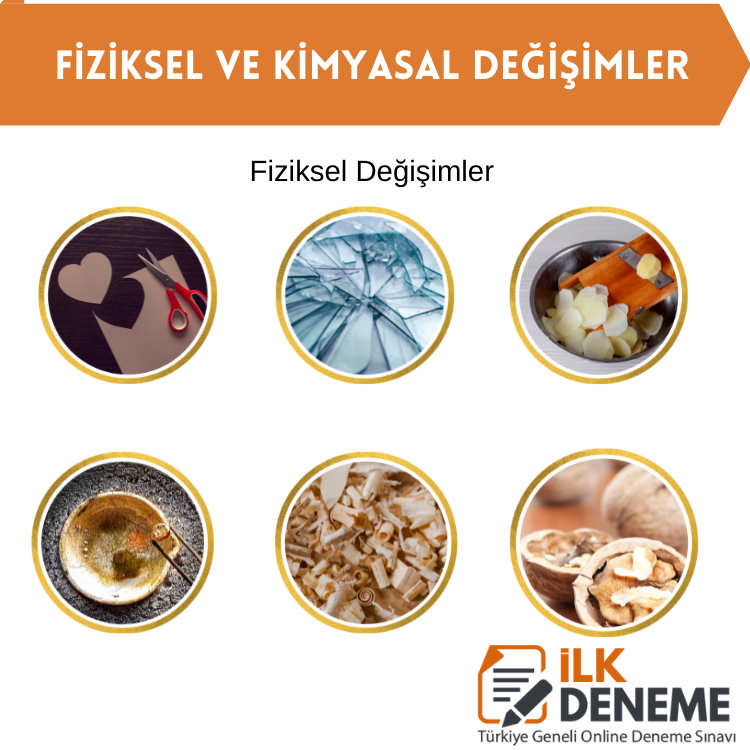 fiziksel degisimler