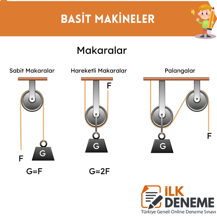 makaralar fen bilimleri