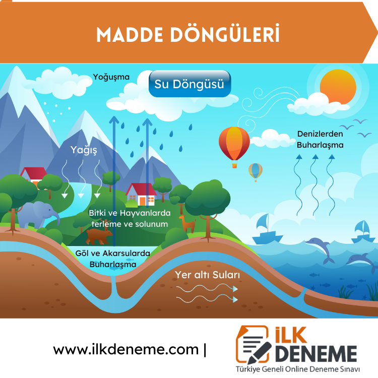 su dongusu madde donguleri