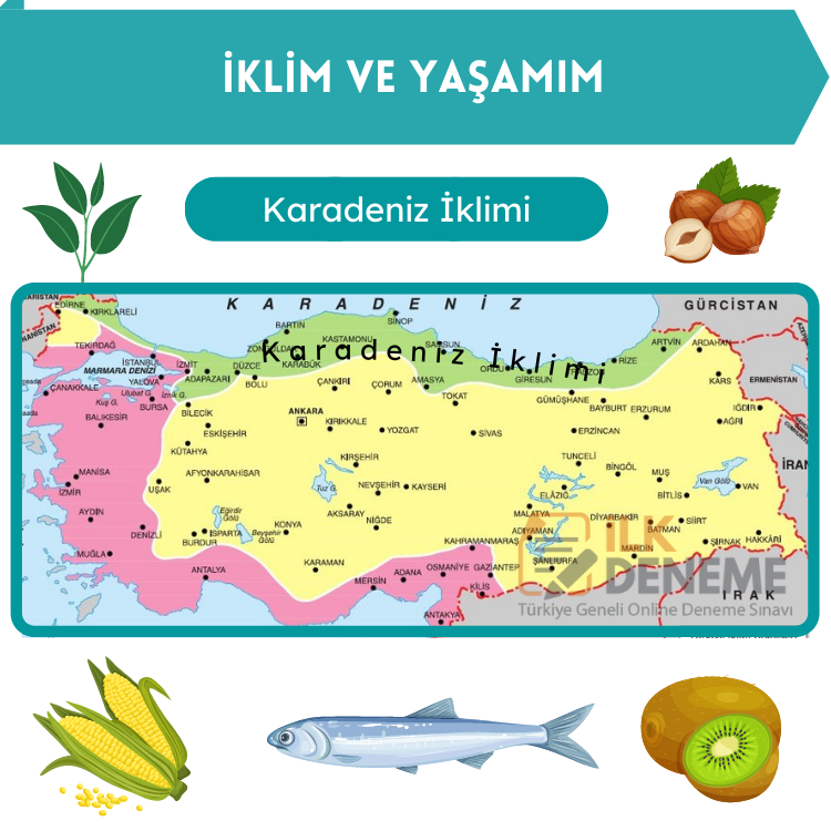 Türkiye de Görülen İklimler - Karadeniz İklimi