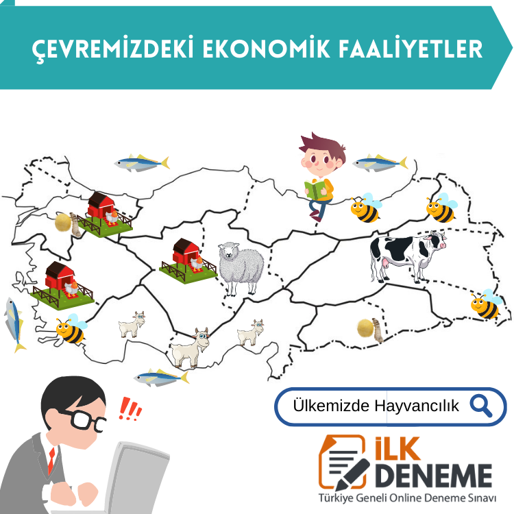 türkiye hayvancılık haritası - birincil ekonomik faaliyetler